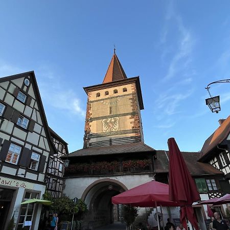 Ferienwohnung Coucou - Nest Im Schwarzwald Gengenbach Exterior foto